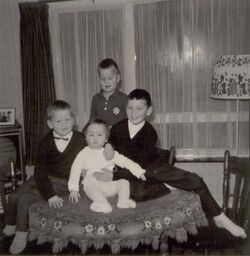 Image 3