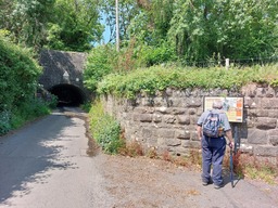Image 13