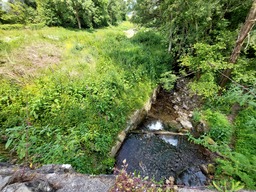 Image 15