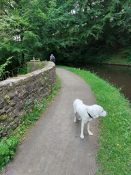 Image 16