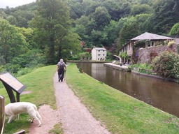 Image 17