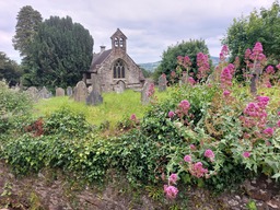 Image 18